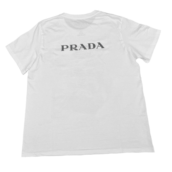 Prada The Italian Dobermans - Picture 3 of 6